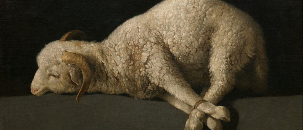 Behold, the Lamb of God! 2nd Sunday of Epiphany, 2026